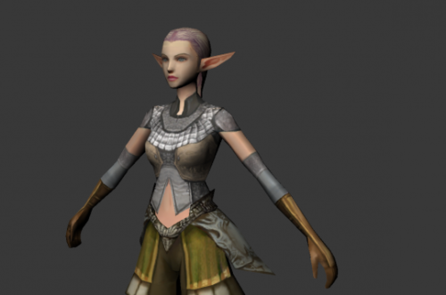 Elf From Lineage 2