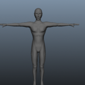 Lowpoly Základní 3D model lidského těla