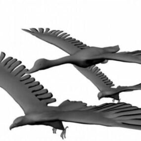Conjunto de 3 pássaros Modelo 3d