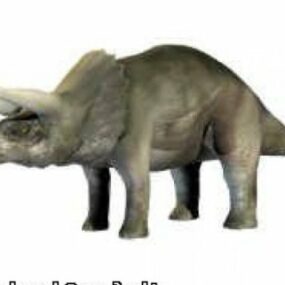 Dinosaurio Triceratop modelo 3d