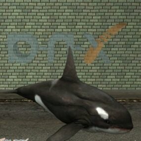 โมเดลวาฬเพชฌฆาต 3d