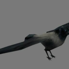 Modello 3d animale corvo