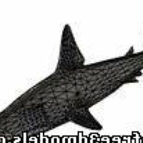 3D model žraloka kladiva