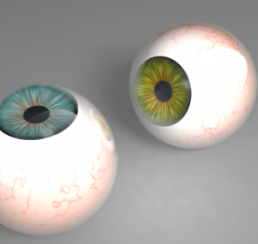 リアルな眼球3Dモデル