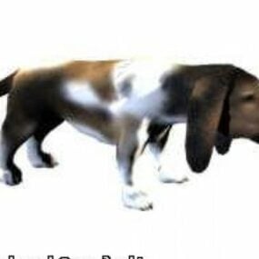 Basset Dog Tier 3D-Modell