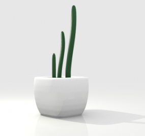 Cactus In Pot 3d-modell
