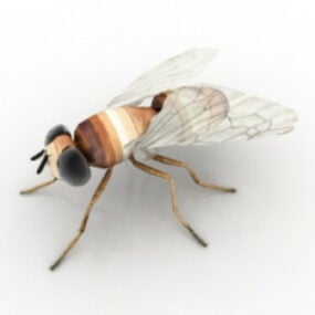 Modello 3d della mosca degli insetti
