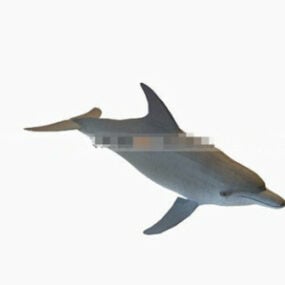 3d модель дельфіна