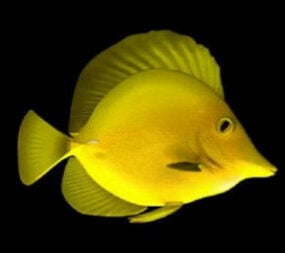 โมเดล 3 มิติของปลาสีเหลือง