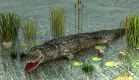 Mô hình cá sấu 3d động vật