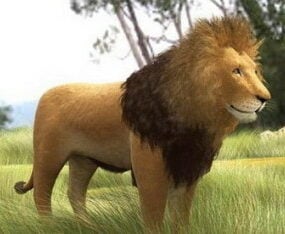 狮子3d模型