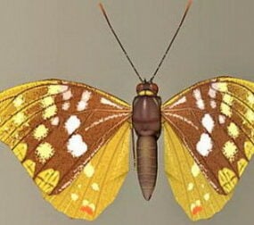 3d модель метелик