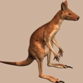 Mô hình động vật Kangaroo 3d
