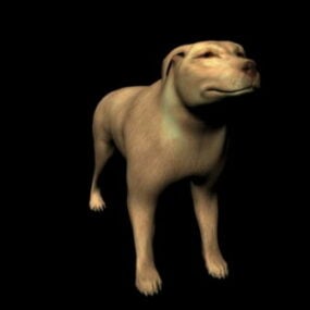 Gul hund djur gratis 3d-modell
