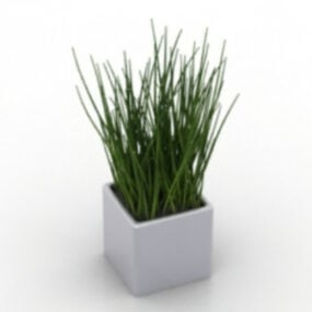 Modelo 3D em vaso de grama vegetal