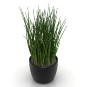 Model 3D trawy doniczkowej w pomieszczeniu