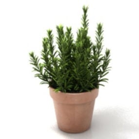 Modello 3d della pianta da vaso della casa