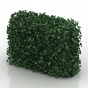 Modelo 3d de planta de parede verde
