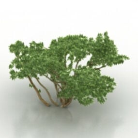 Modelo 3d de arbusto verde