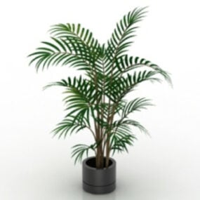 Eenvoudig bonsaiplant 3D-model