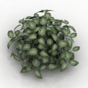 Yemyeşil Çim Bitki 3D modeli
