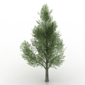 3д модель зеленых деревьев