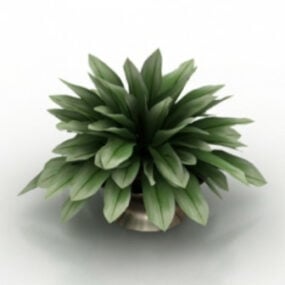 Planta casera de bonsái verde modelo 3d