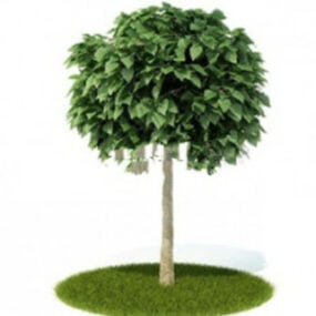 Model 3D zielonych drzew