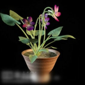 屋内盆栽植物の3Dモデル
