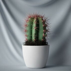 Home Cactus Plant 3d-model