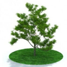 Modelo 3d de árvore