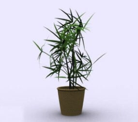 Modello 3d in vaso di bambù interno