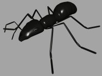 3д модель животного муравья