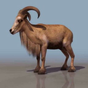 Model 3D zwierzęcia kozy