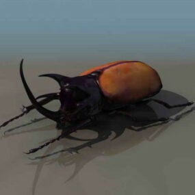 דגם 3D של חיפושית בעלי חיים