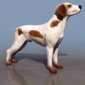 White Dog Animal 3d model