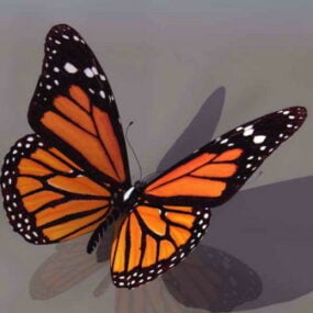 Mô hình động vật bướm 3d