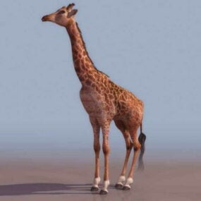 长颈鹿动物3d模型