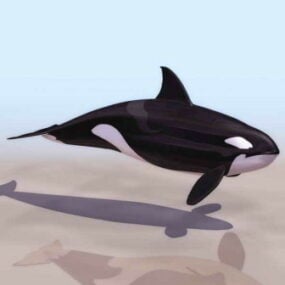 Model 3D zwierzęcia wielorybów