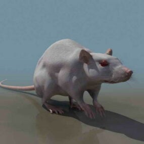 Modelo 3d animal de rato