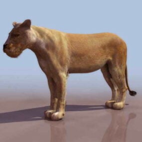 Löwe-Tier-3D-Modell