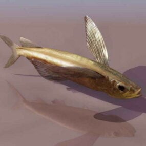مدل 14 بعدی ماهی حیوانات 3