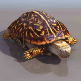 Schildkröten-Tier-3D-Modell