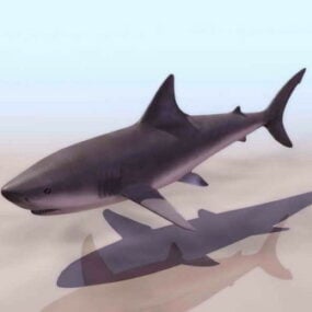 Žralok zvíře 3D model