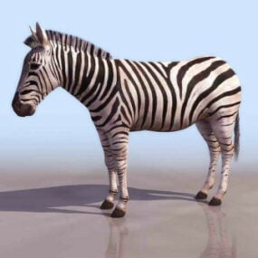 3D model zvířete zebry