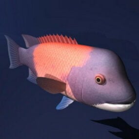 نموذج ثلاثي الأبعاد للأسماك ذات الرأس الكبير