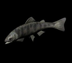 Model 3D Ikan Laut Model 3d