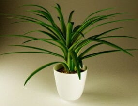 Modelo 3D em vaso de planta pequena