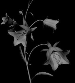 Planten Orchideeën 3D-model