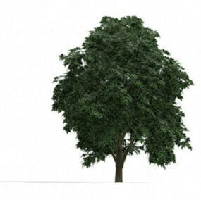 3д модель экстерьера дерева